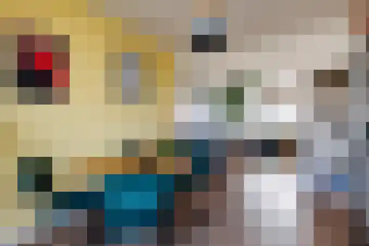 Balijelaan 85 BS Utrecht thumbnail 17