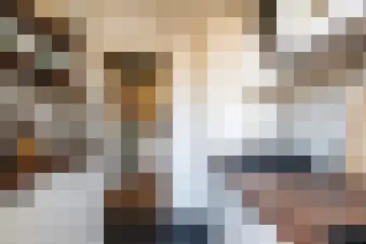 Balijelaan 85 BS Utrecht thumbnail 21