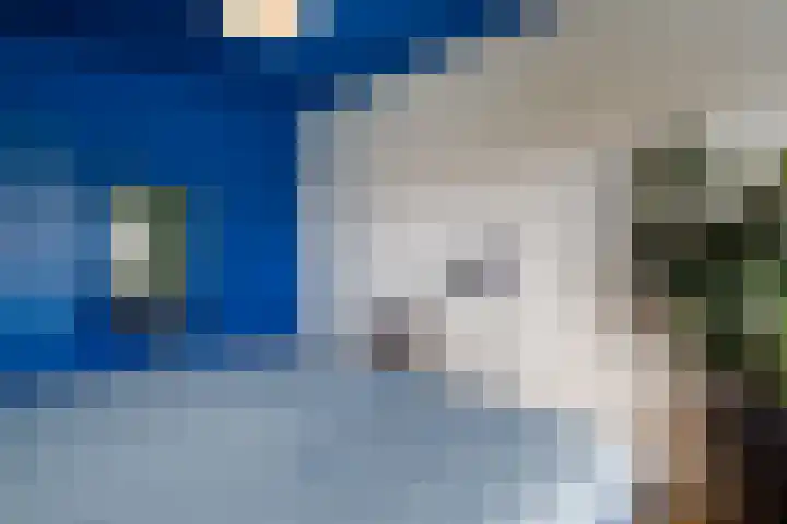 Balijelaan 85 BS Utrecht thumbnail 23