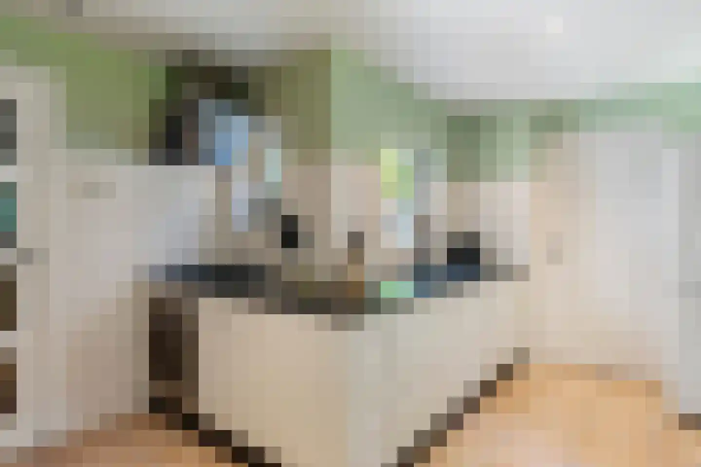 Balijeweg 9 Wolfheze thumbnail 13