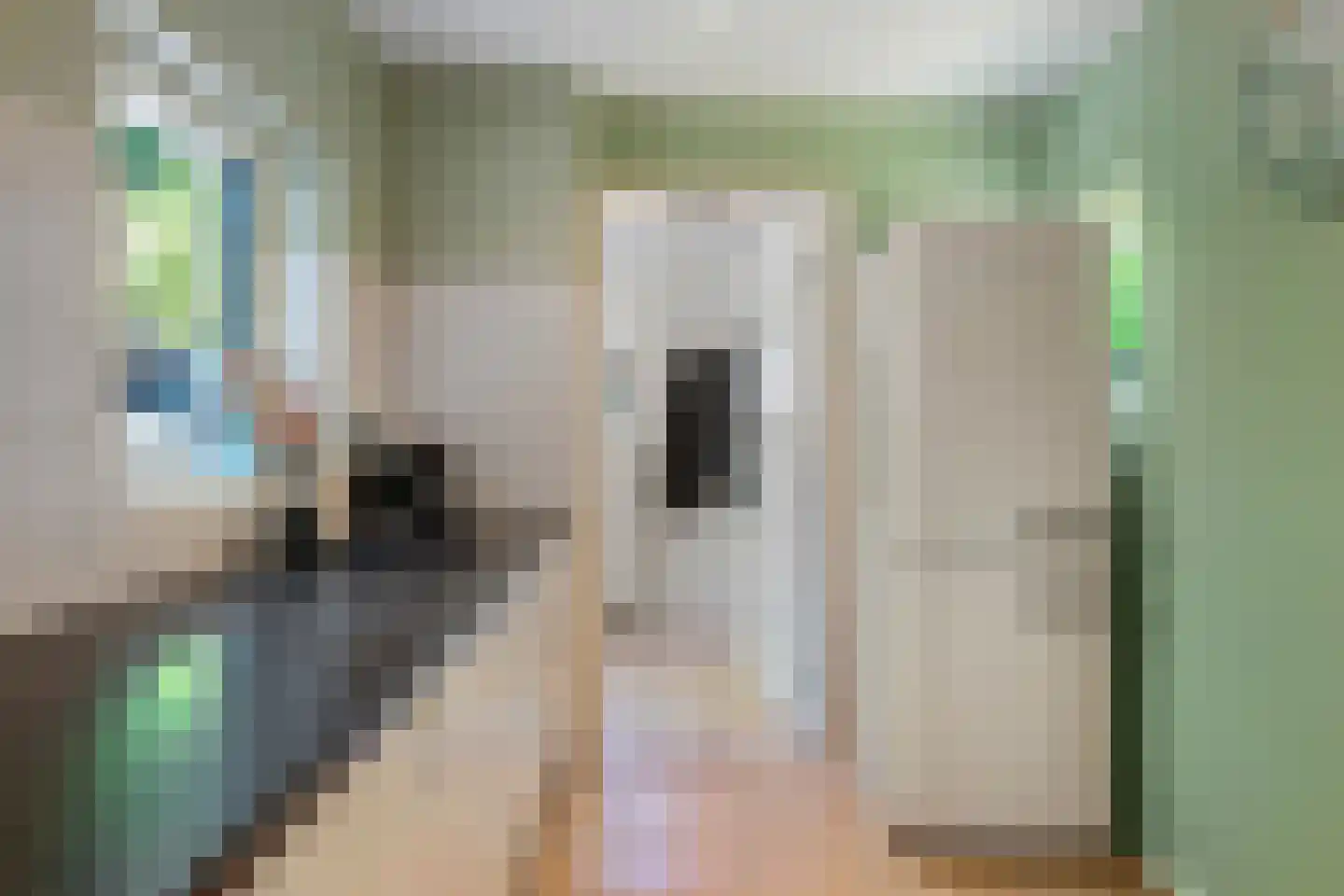 Balijeweg 9 Wolfheze thumbnail 14