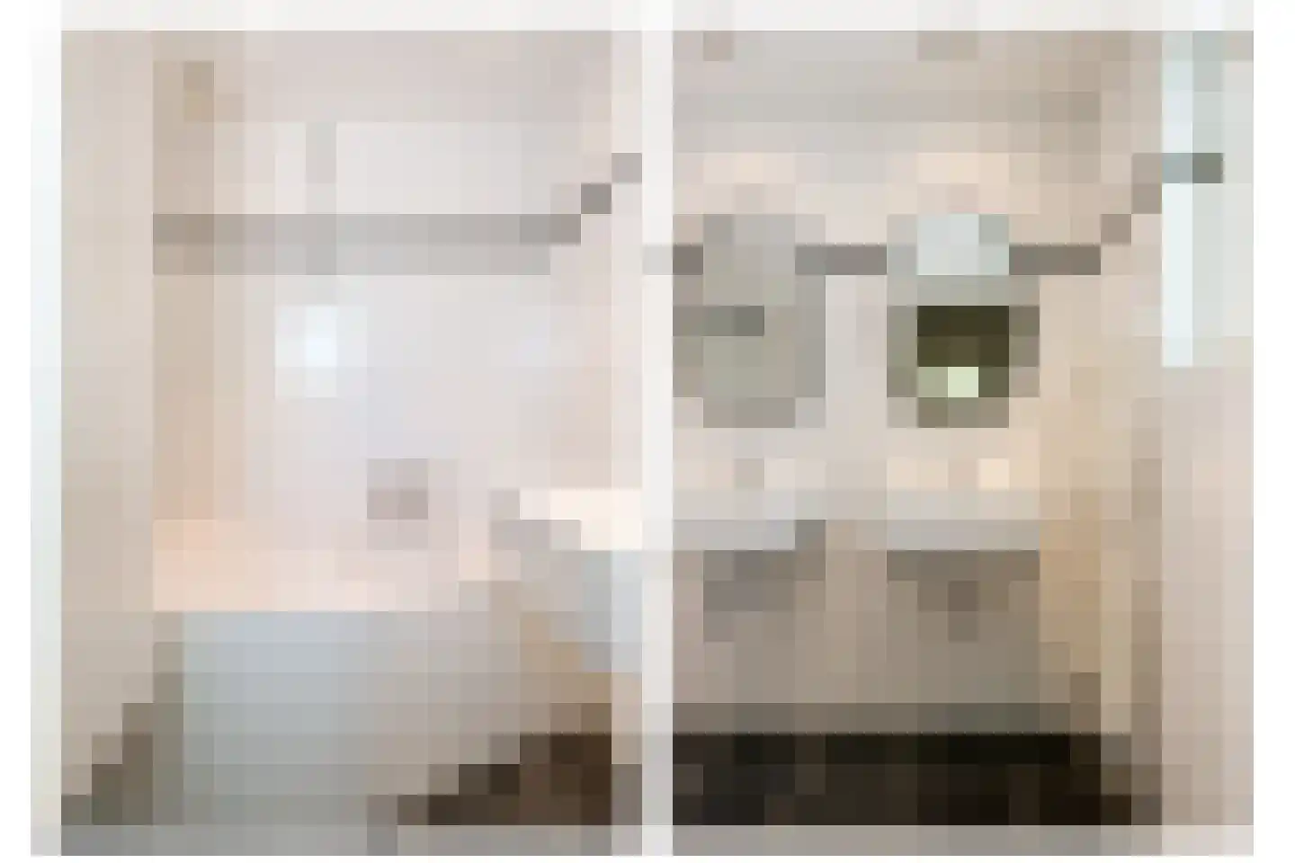 Balijeweg 9 Wolfheze thumbnail 18