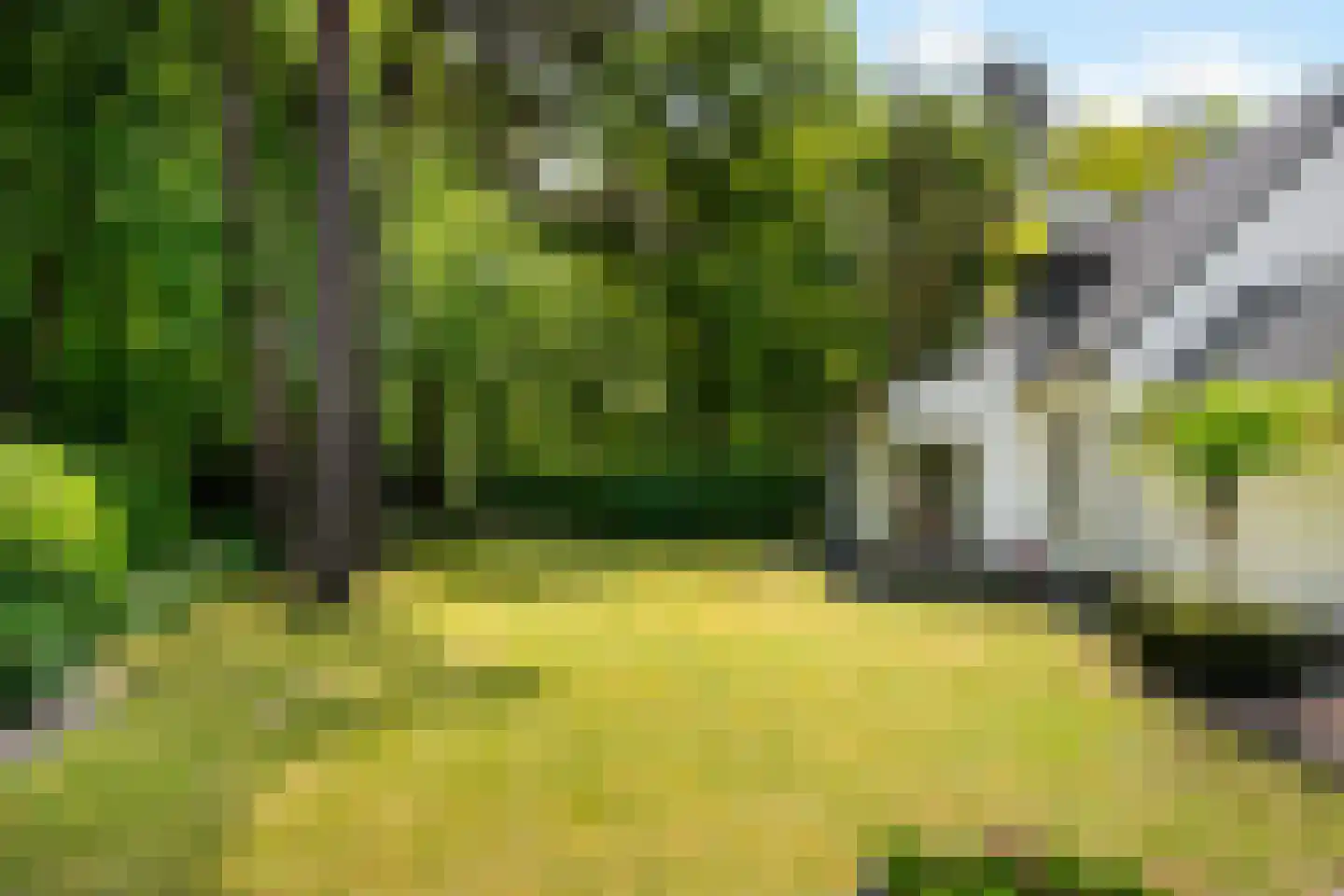 Balijeweg 9 Wolfheze thumbnail 33