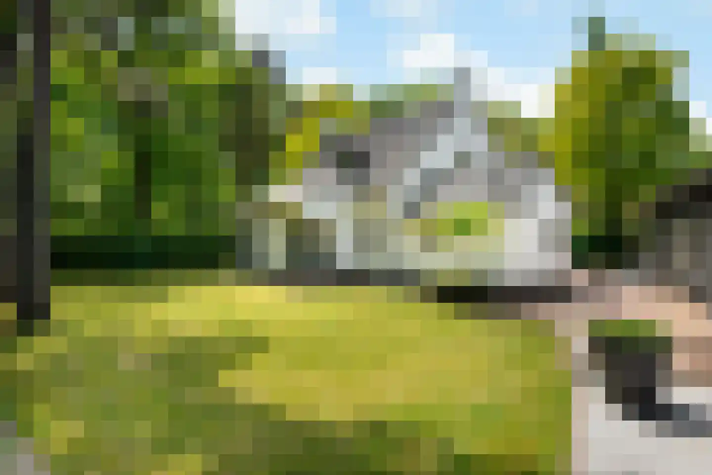 Balijeweg 9 Wolfheze thumbnail 34
