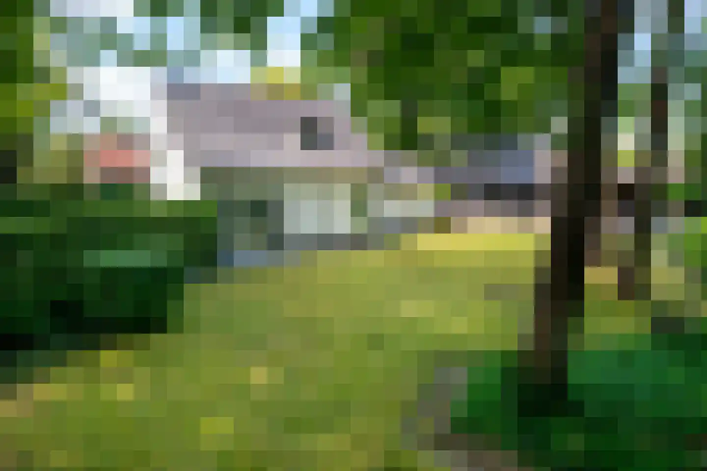 Balijeweg 9 Wolfheze thumbnail 35