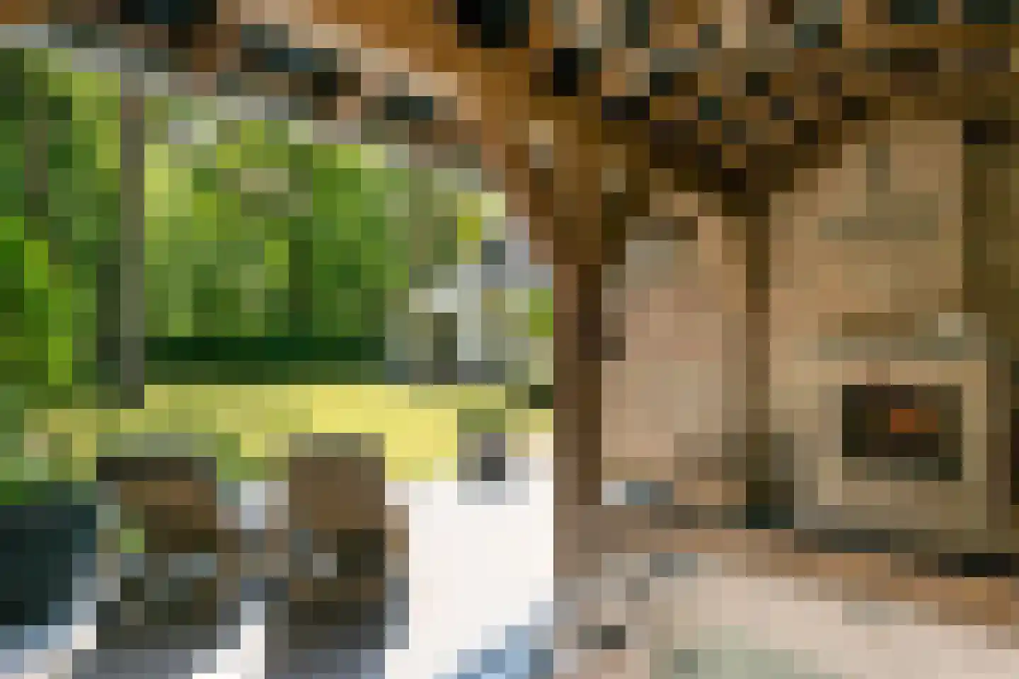 Balijeweg 9 Wolfheze thumbnail 38