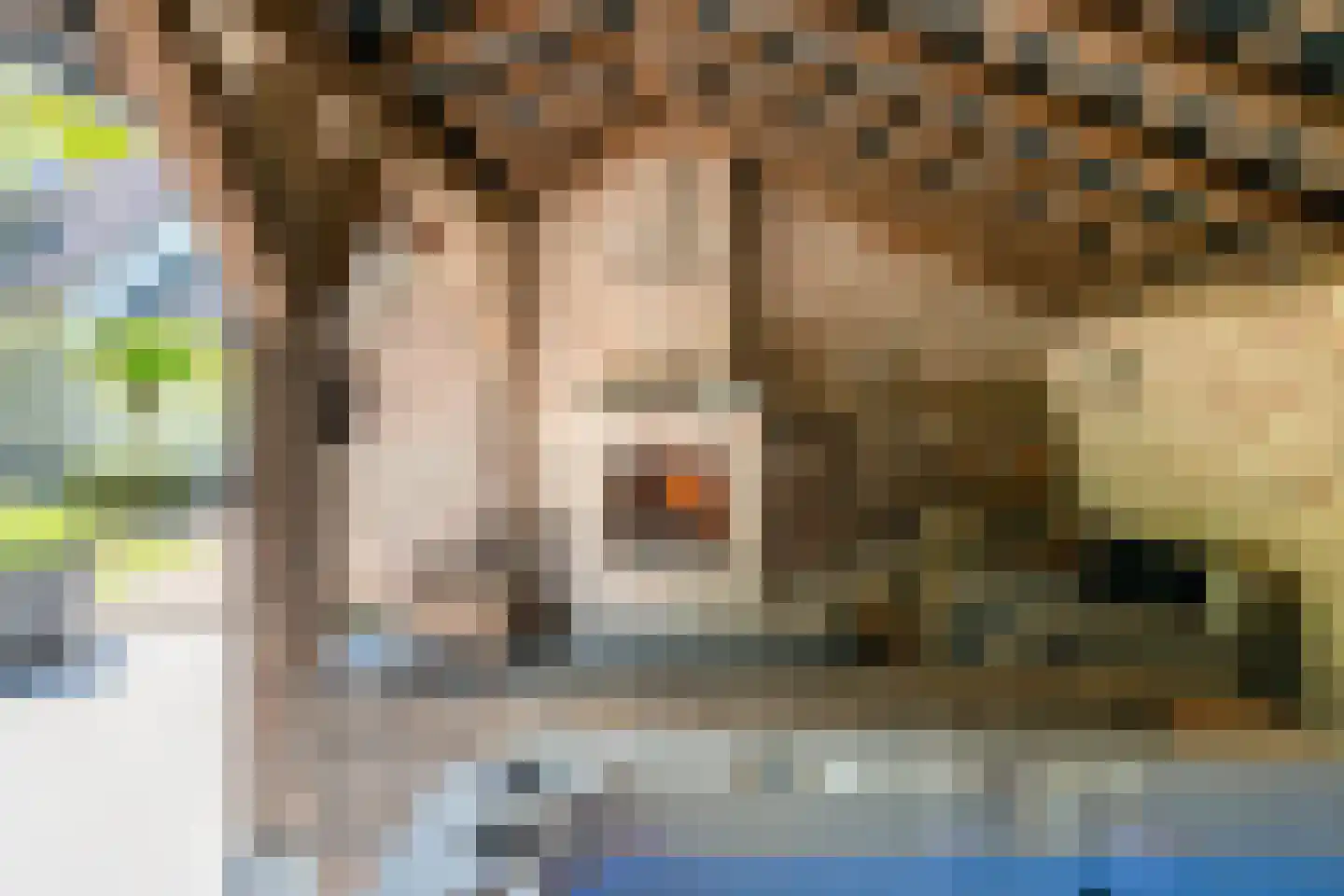 Balijeweg 9 Wolfheze thumbnail 39
