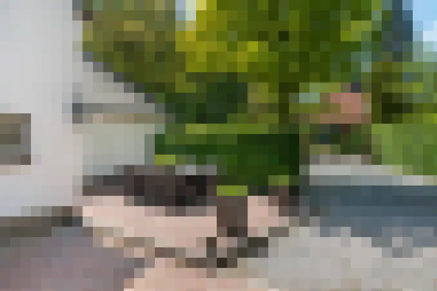 Balijeweg 9 Wolfheze thumbnail 41