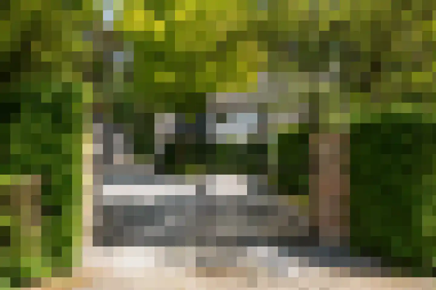 Balijeweg 9 Wolfheze thumbnail 46