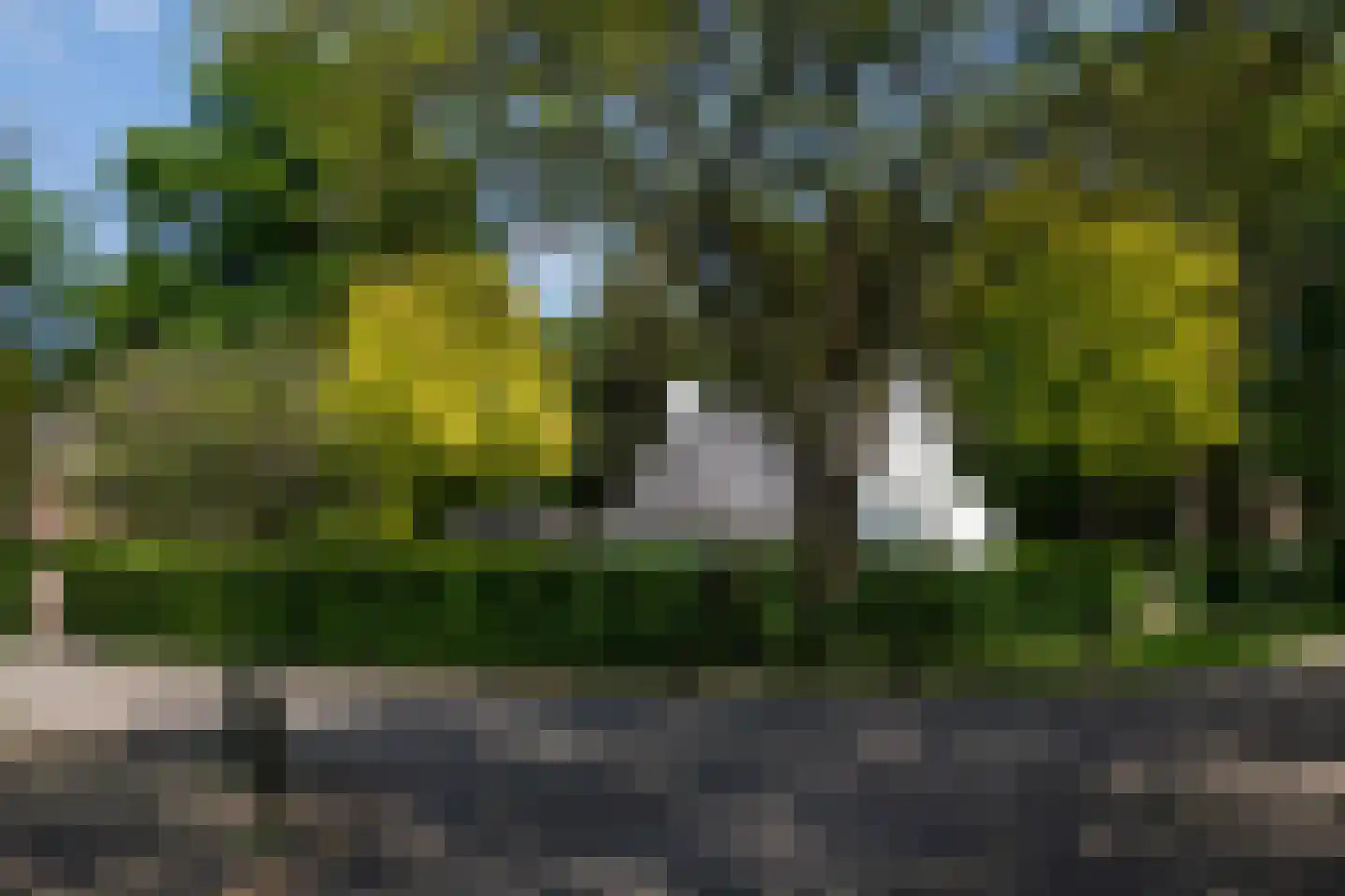 Balijeweg 9 Wolfheze thumbnail 48