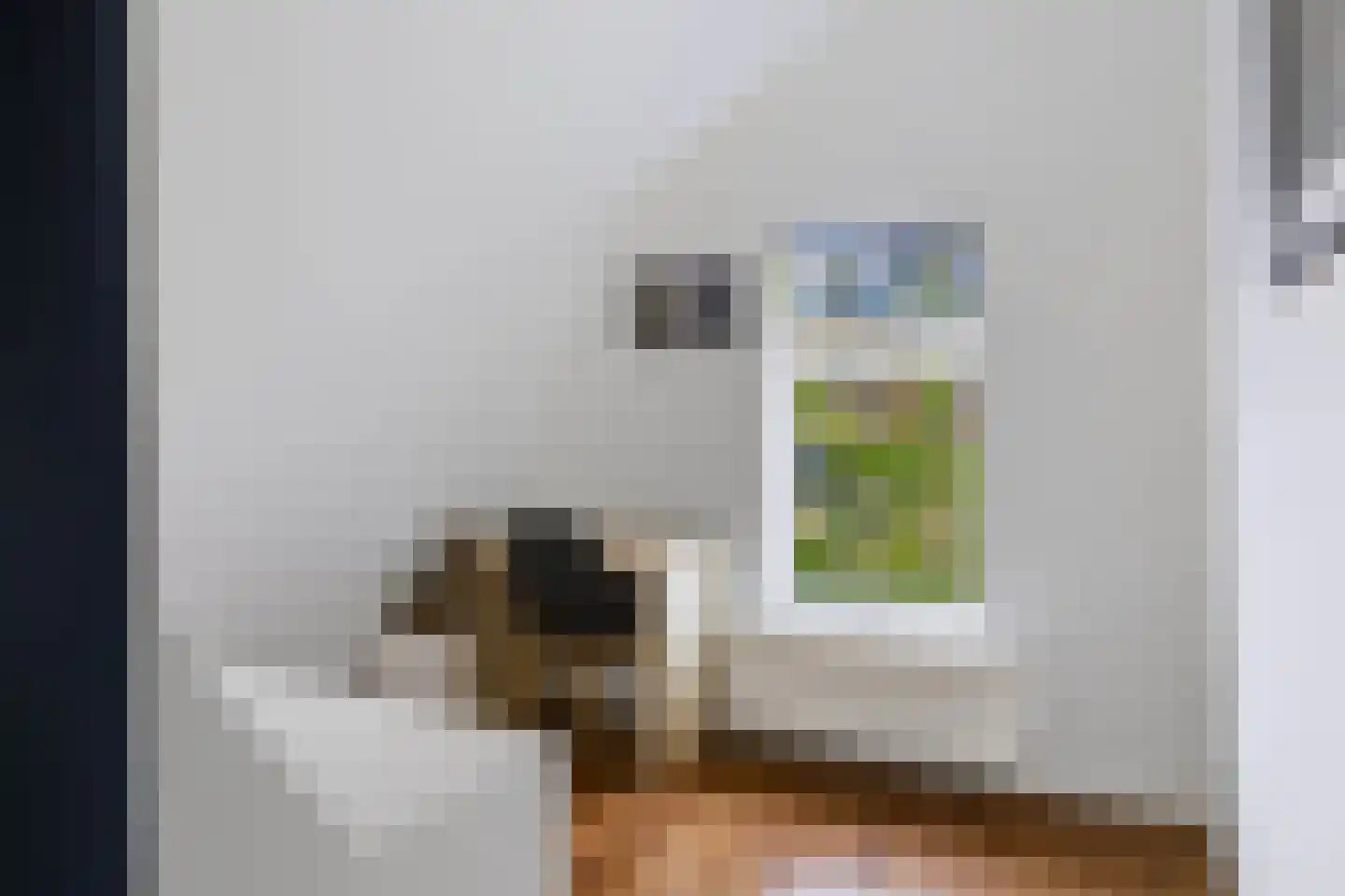Balilaan 10 Apeldoorn thumbnail 22