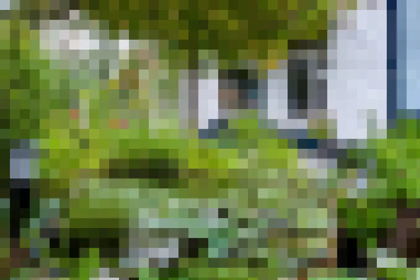 Balilaan 10 Apeldoorn thumbnail 28