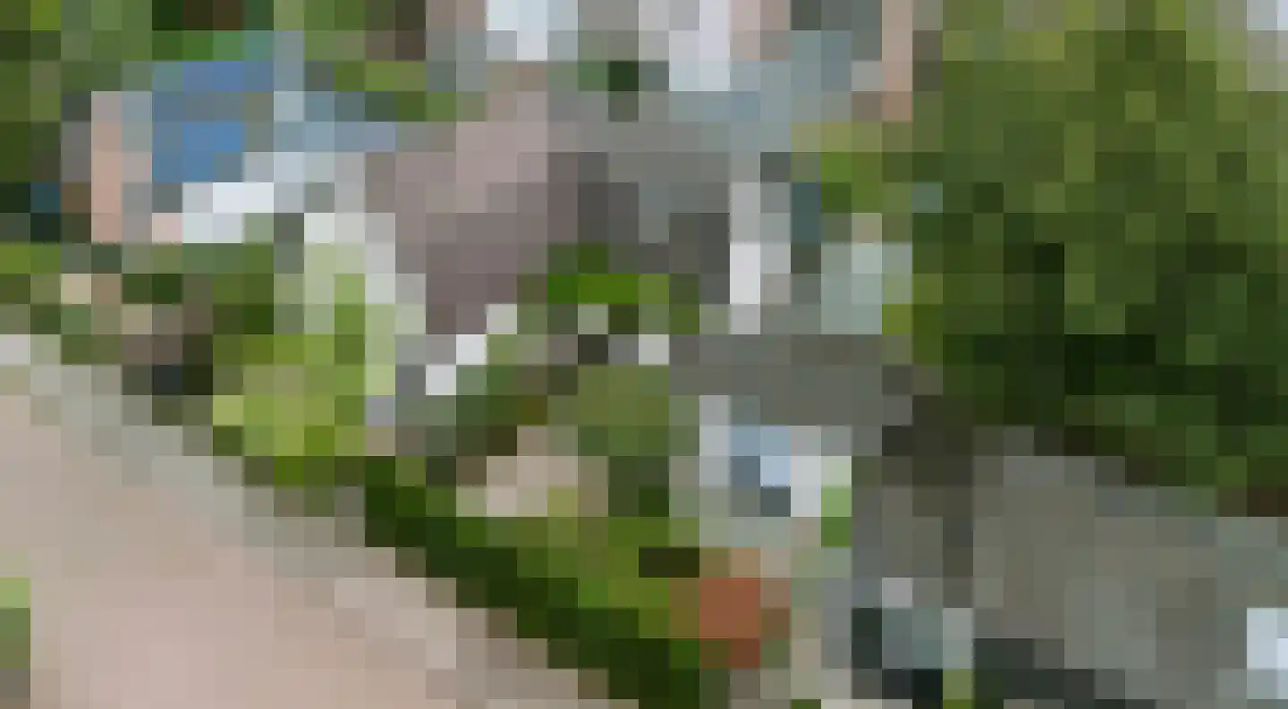 Balilaan 10 Apeldoorn thumbnail 32