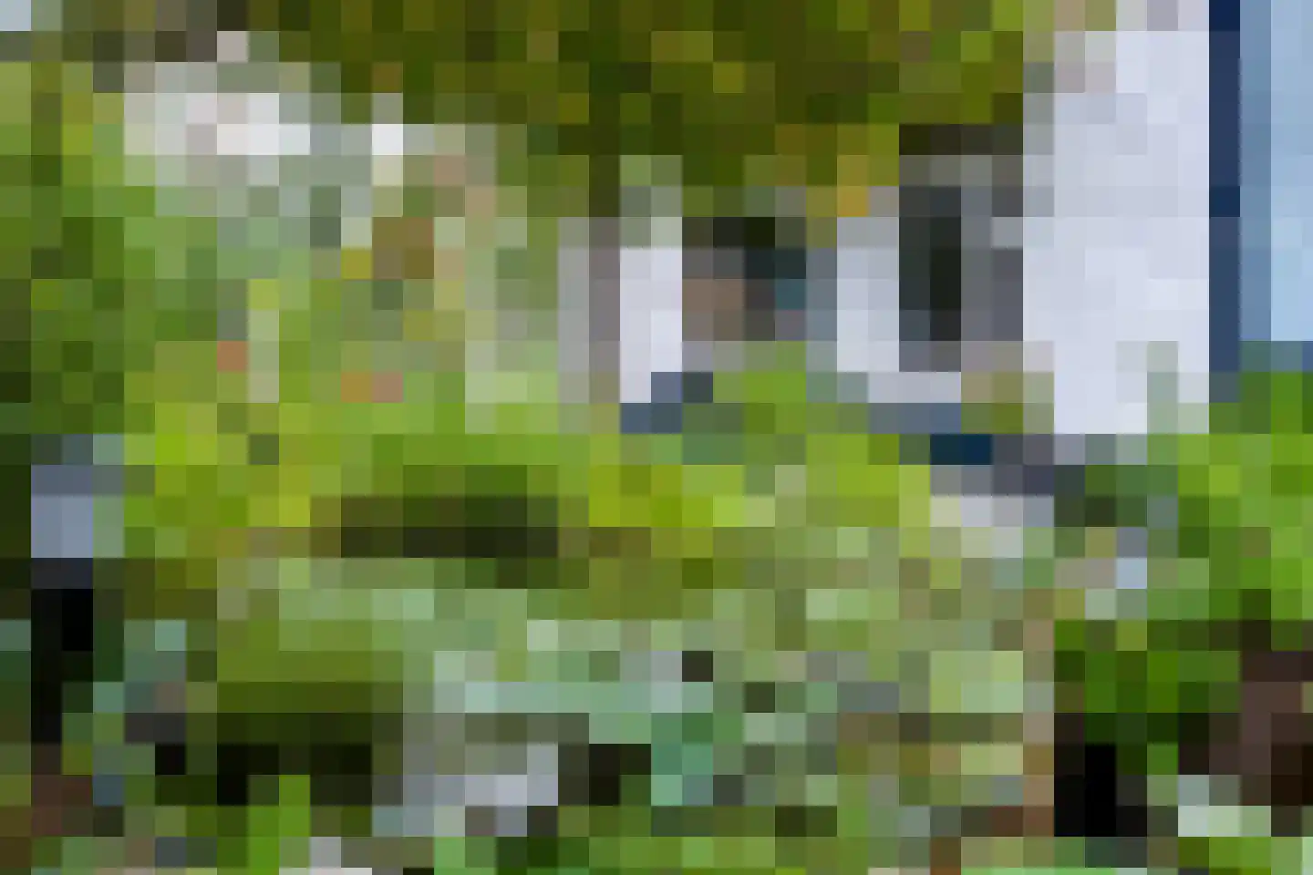 Balilaan 10 Apeldoorn thumbnail 33