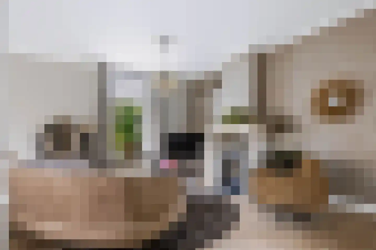 Balilaan 10 Apeldoorn thumbnail 8