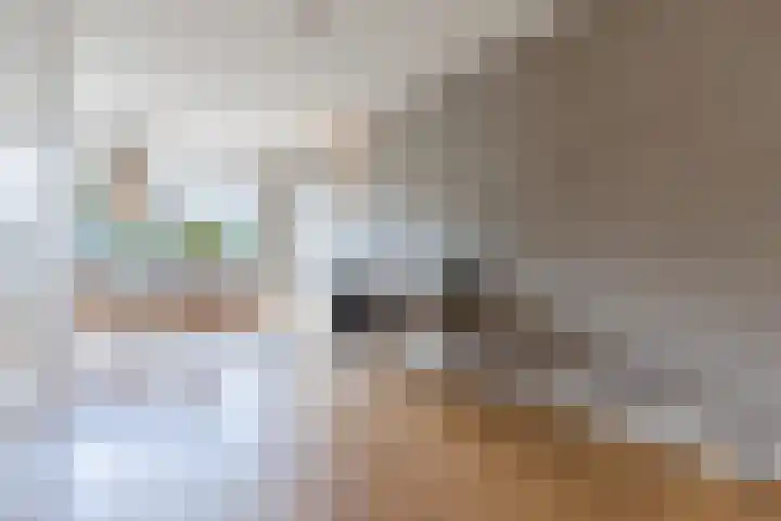 Balin 4 Geldrop thumbnail 11