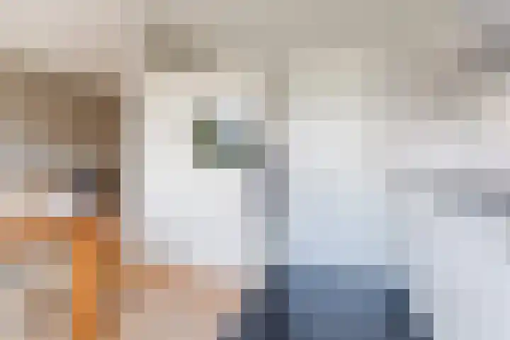 Balin 4 Geldrop thumbnail 17