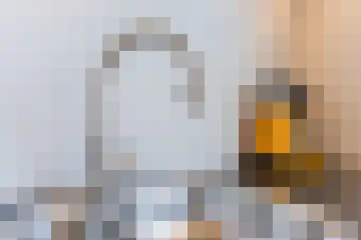 Balin 4 Geldrop thumbnail 18