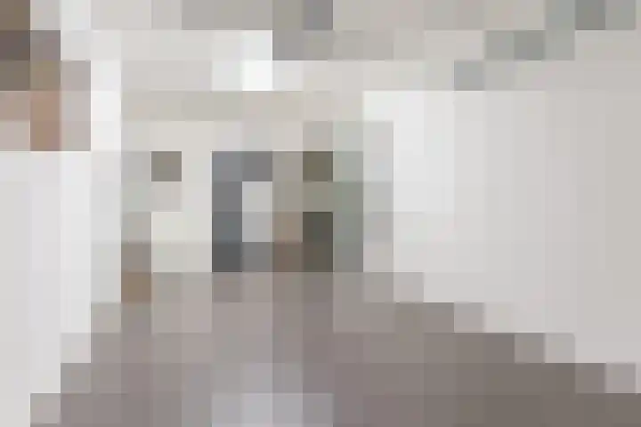 Balin 4 Geldrop thumbnail 23