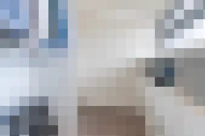 Balin 4 Geldrop thumbnail 33