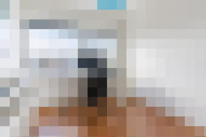 Balin 4 Geldrop thumbnail 36