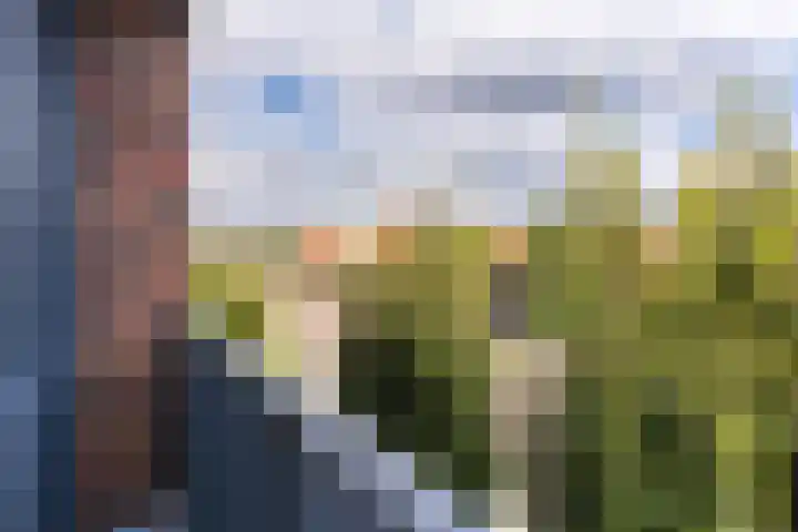 Balin 4 Geldrop thumbnail 45