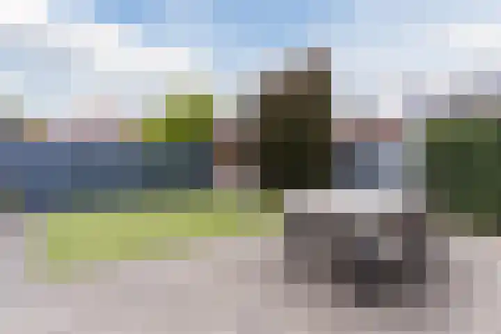 Balin 4 Geldrop thumbnail 49