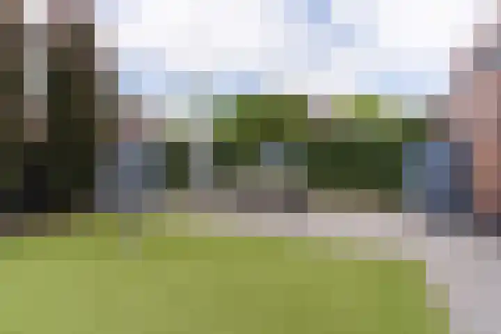 Balin 4 Geldrop thumbnail 51