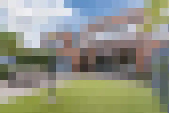 Balin 4 Geldrop thumbnail 52