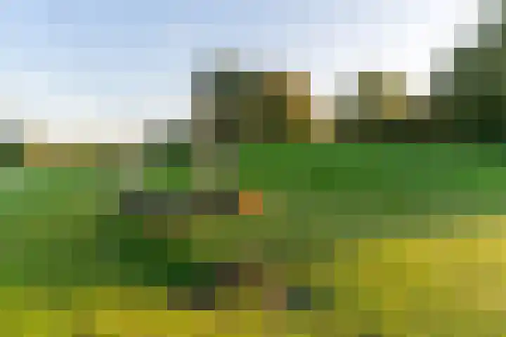 Balin 4 Geldrop thumbnail 54