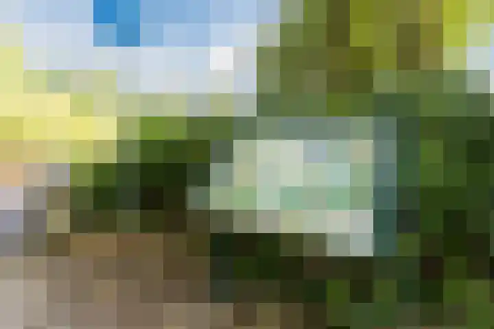 Balin 4 Geldrop thumbnail 55