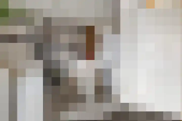 Balingerbrink 116 Emmen thumbnail 10