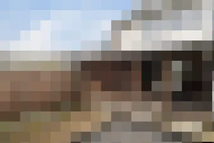 Balingerbrink 116 Emmen thumbnail 32