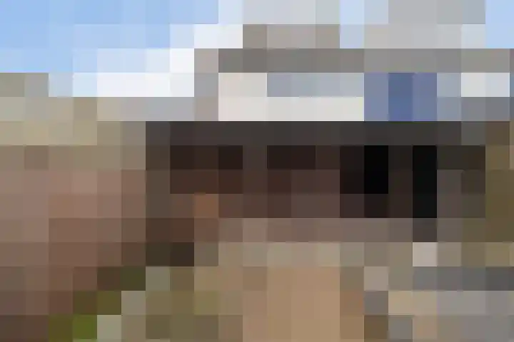 Balingerbrink 116 Emmen thumbnail 33