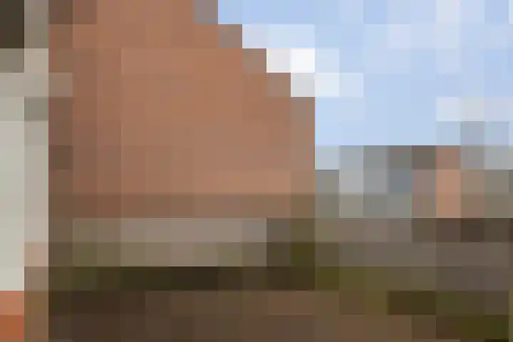 Balingerbrink 116 Emmen thumbnail 35