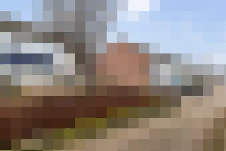 Balingerbrink 116 Emmen thumbnail 4