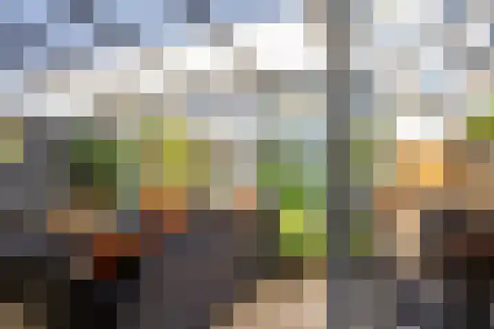 Balingerbrink 138 Emmen thumbnail 28