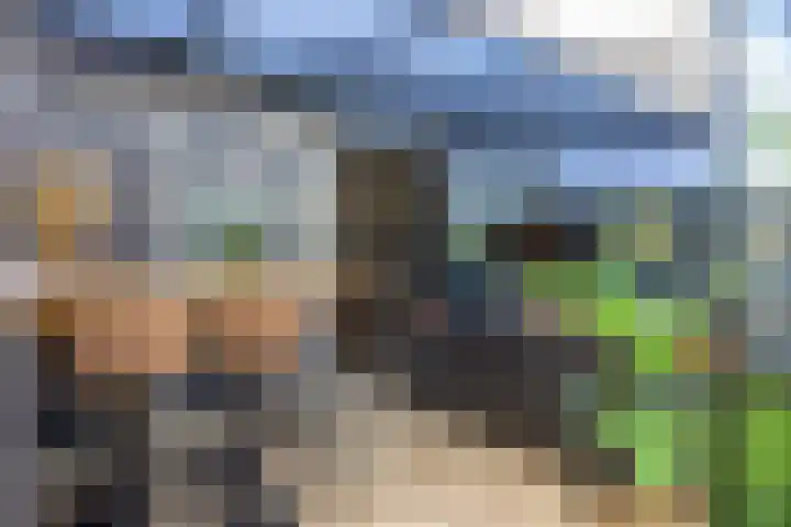 Balingerbrink 138 Emmen thumbnail 31