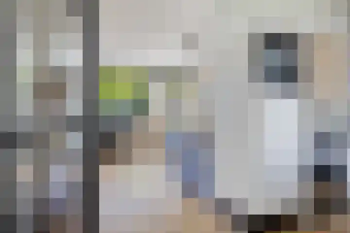 Balingerbrink 138 Emmen thumbnail 8