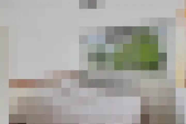 Balingerbrink 142 Emmen thumbnail 22