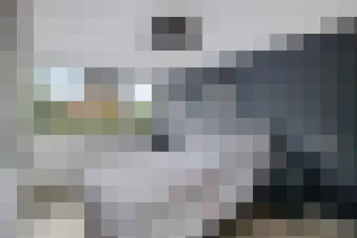 Balingerbrink 142 Emmen thumbnail 24
