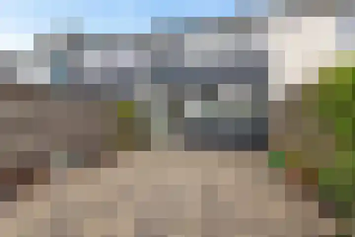 Balingerbrink 142 Emmen thumbnail 32