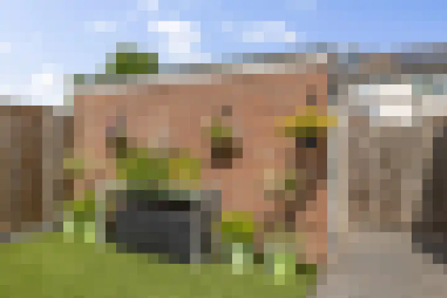 Balingerbrink 144 Emmen thumbnail 33