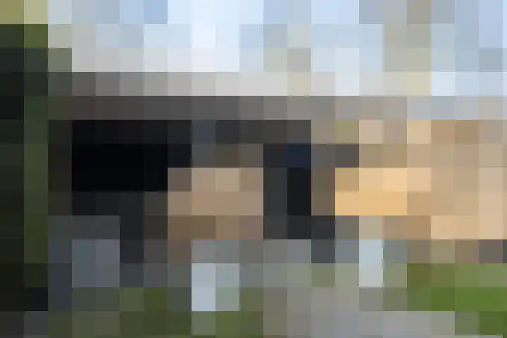 Balingerbrink 149 Emmen thumbnail 27