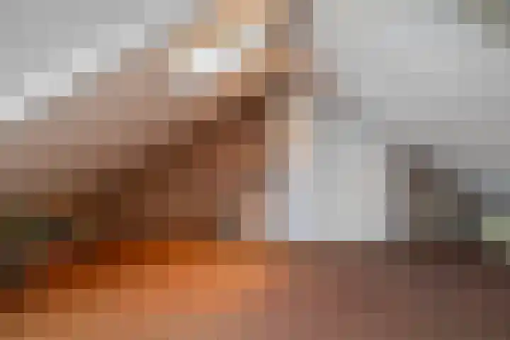 Balingerbrink 149 Emmen thumbnail 44