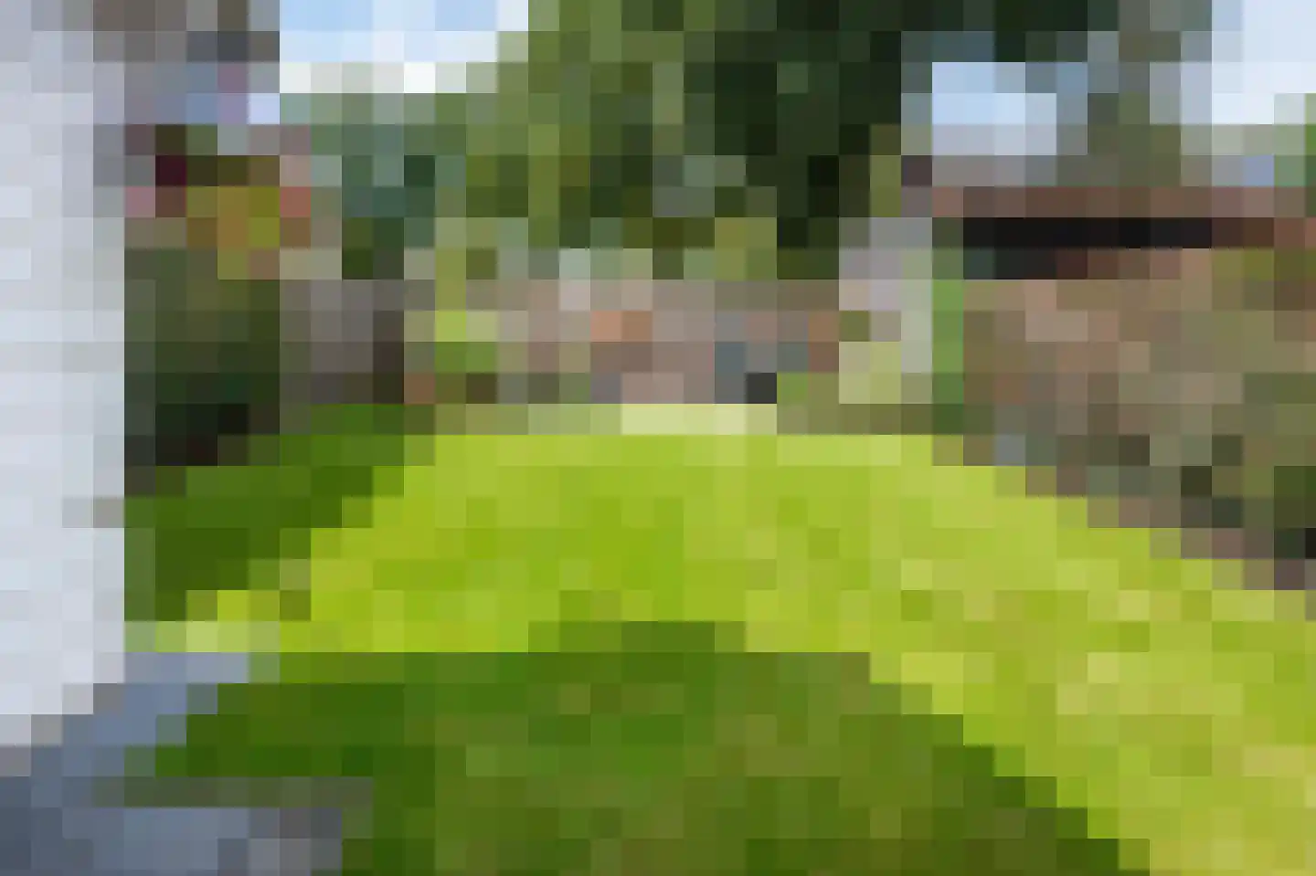 Balingerbrink 153 Emmen thumbnail 22