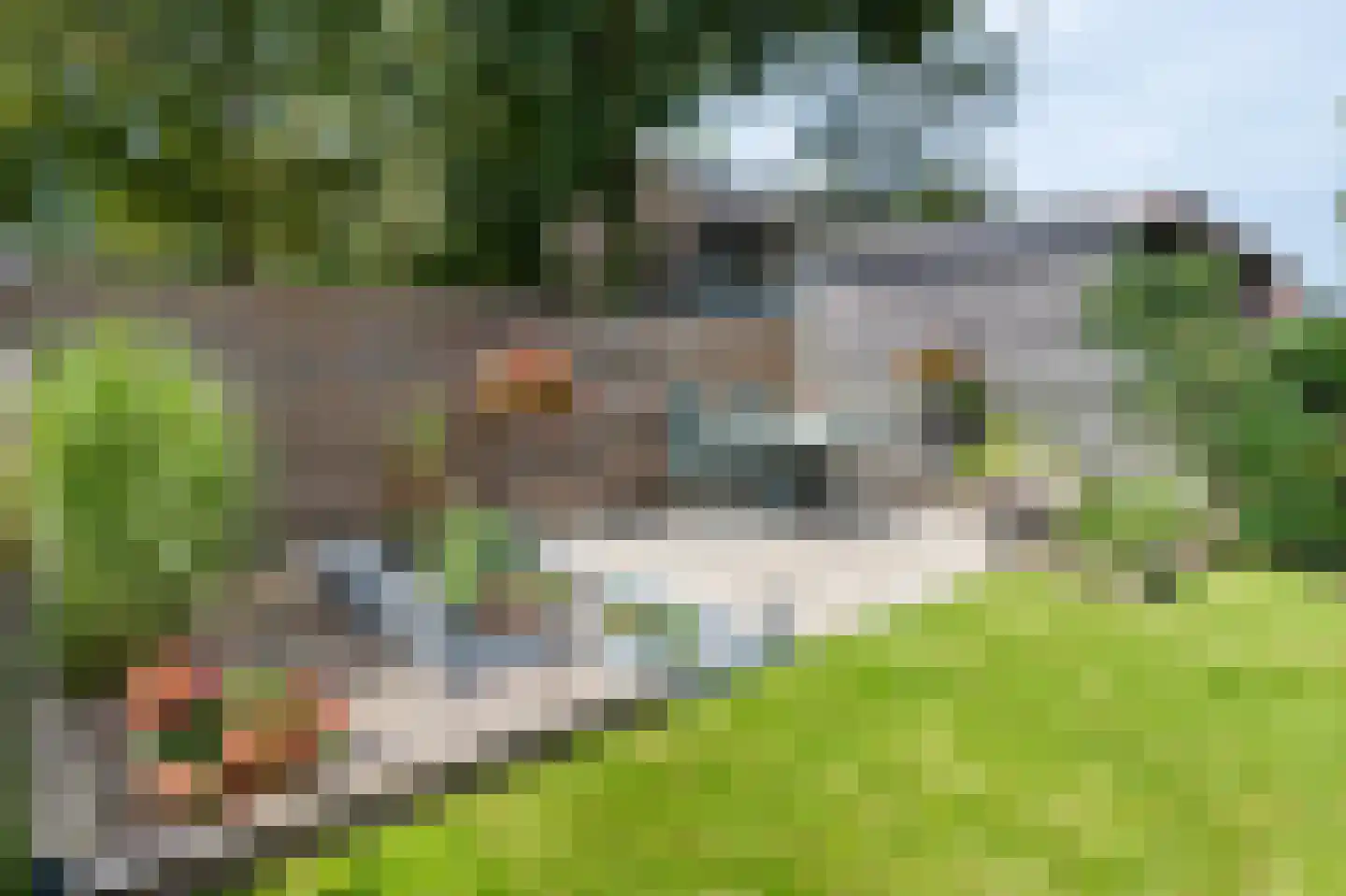 Balingerbrink 153 Emmen thumbnail 23