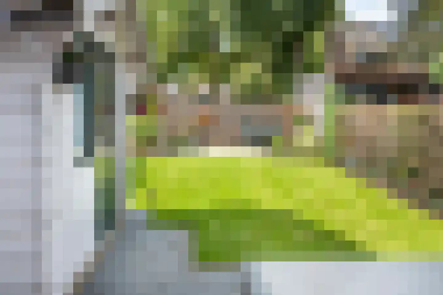 Balingerbrink 153 Emmen thumbnail 24
