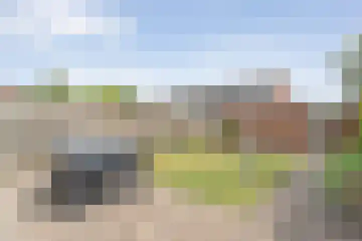 Balingerbrink 57 Emmen thumbnail 24