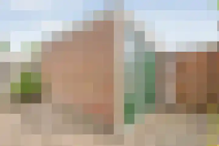 Balingerbrink 57 Emmen thumbnail 25